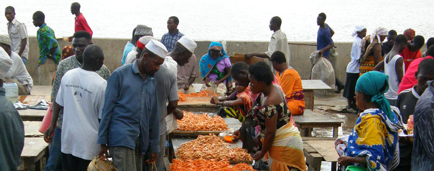 FISH MARKET, TANZANIA