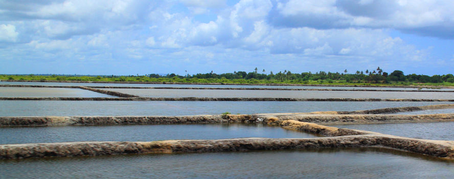 SALT PRODUCTION PLANT, MOZAMBIQUE